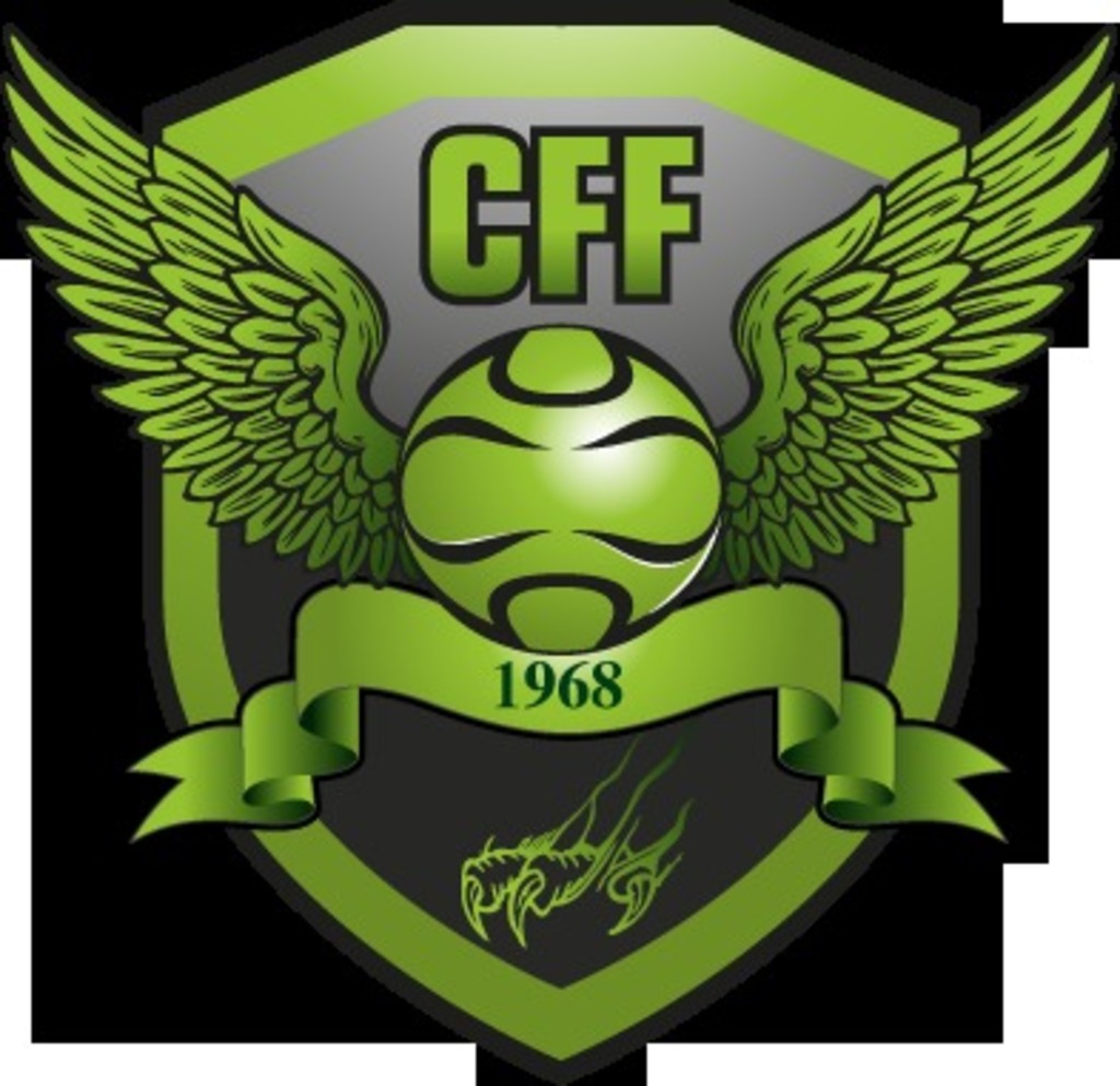 CALUIRE  FOOTBALL  FEMININ recherche joueuses niveau D2, DH