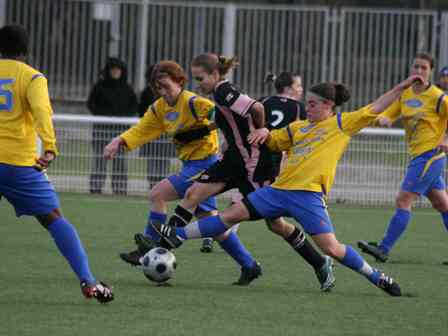 Après la défaite à Toulouse, Saint-Brieuc reçoit le leader (photo : P. Charbit) Après la défaite à Toulouse, Saint-Brieuc reçoit le leader (photo : P. Charbit)