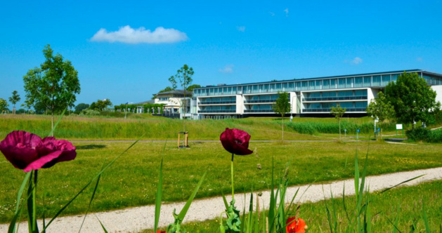 #WEURO2017 - Les Bleues installées près de ROTTERDAM #WEURO2017 - Les Bleues installées près de ROTTERDAM