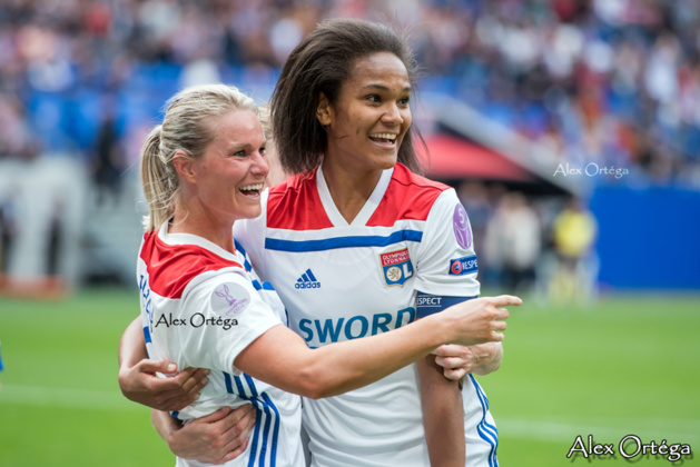 Henry, buteuse, et Renard Henry, buteuse, et Renard