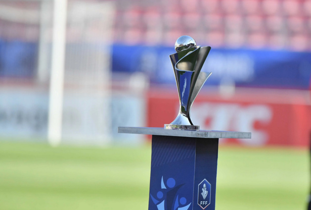 Le trophée (photo FFF) Le trophée (photo FFF)