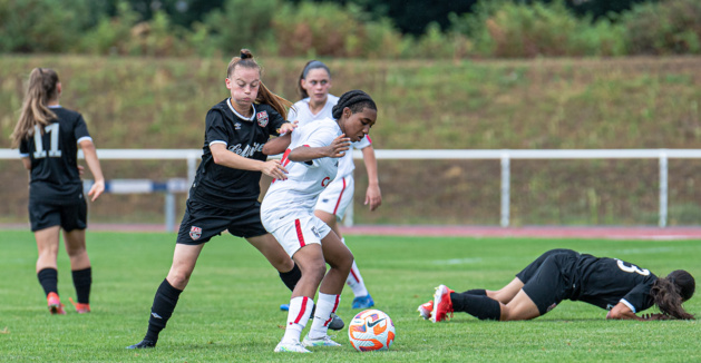 photo archive entre Guingamp et Lille photo archive entre Guingamp et Lille