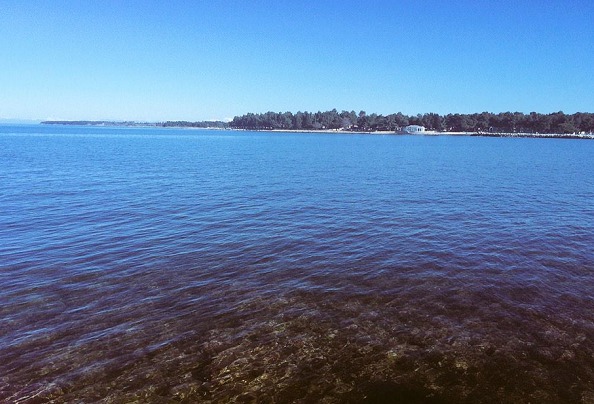 Le ciel et la mer bleue à Umag