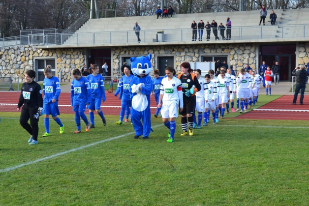 La mascotte des Chatons d'Estrablin sera de sortie face à Rodez (photo facebook club) La mascotte des Chatons d'Estrablin sera de sortie face à Rodez (photo facebook club)