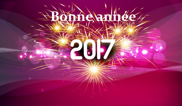 Bonne année 2017 !