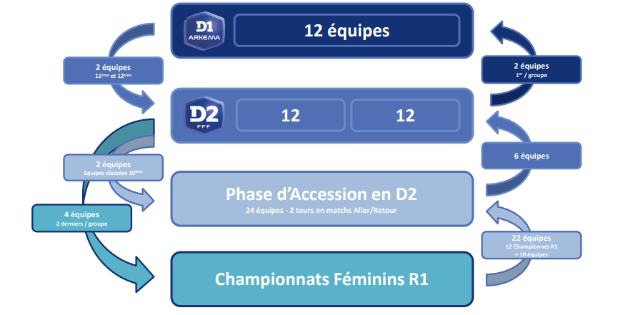 Réforme des championnats - Le projet approuvé par le COMEX