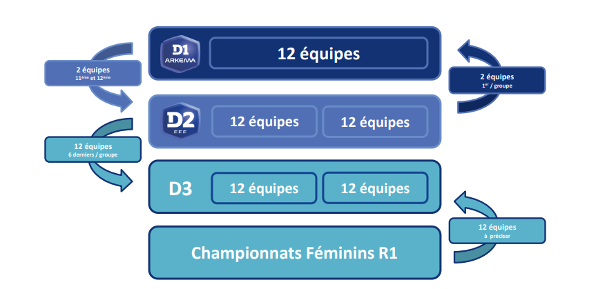 Réforme des championnats - Le projet approuvé par le COMEX