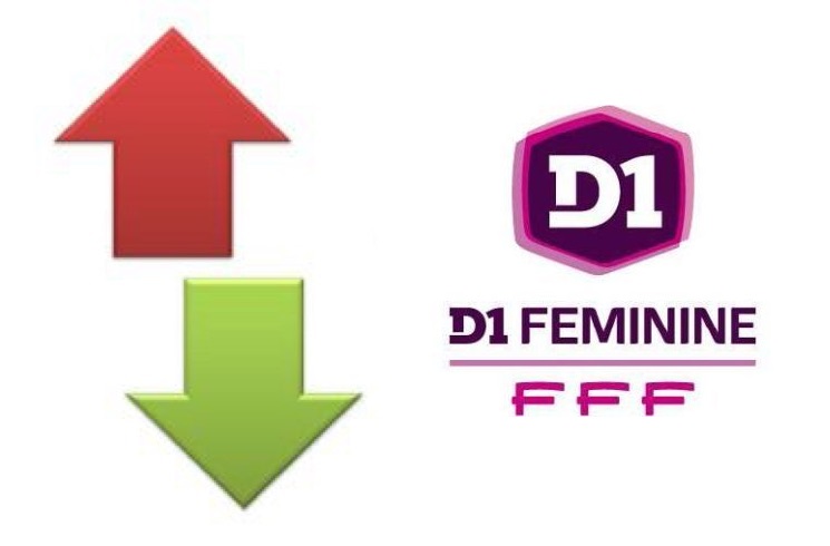 #D1F - Les mouvements de joueuses en D1 : Loes GEURTS au PSG