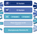 Réforme des championnats - Le projet approuvé par le COMEX