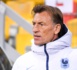 Bleues - Hervé RENARD : 