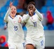 Bleues - Un sans-faute avant de passer à l'Euro