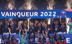 Bleues - FRANCE - DANEMARK en cinq points