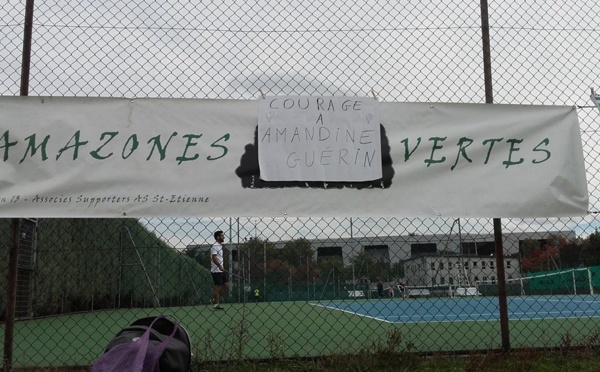 #D1F - Brèves de D1 : "Rien à déclarer", le PSG au Camp des Loges, Guingamp au Roudourou