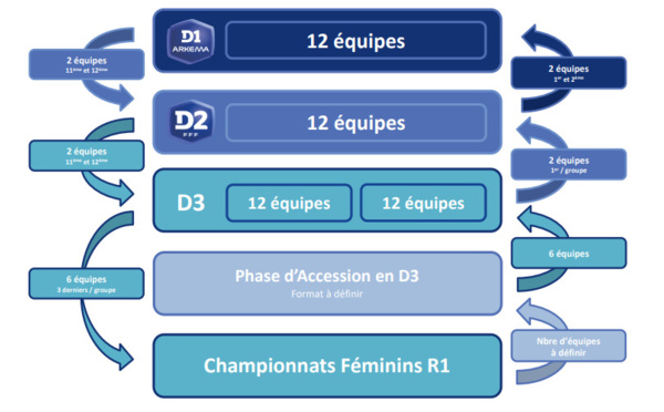 Réforme des championnats - Le projet approuvé par le COMEX