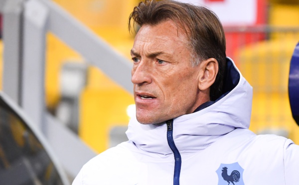 Bleues - Hervé RENARD : "C’était 9 jours fantastiques"