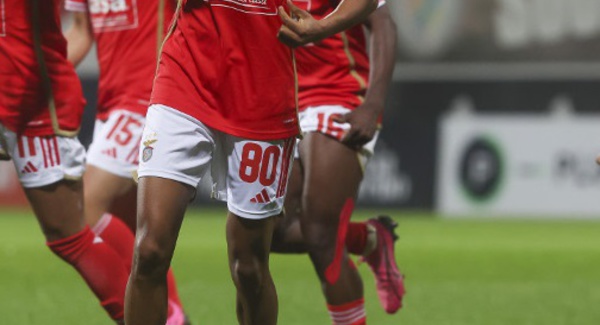 Première Ligue Arkema et Seconde Ligue - Une nouvelle numérotation autorisée