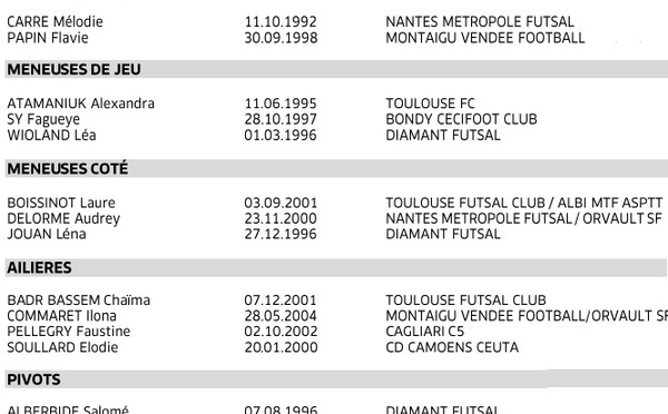 Futsal - 16 joueuses pour le déplacement en NORVÈGE