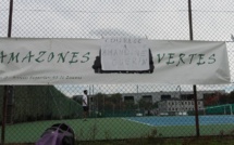 #D1F - Brèves de D1 : "Rien à déclarer", le PSG au Camp des Loges, Guingamp au Roudourou