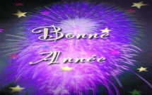 Bonne année 2009 ! Bonne année 2009 !