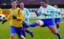 D1 : Saint-Brieuc et Saint-Etienne se rassurent D1 : Saint-Brieuc et Saint-Etienne se rassurent