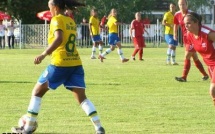 Universitaire : le Brésil pour débuter