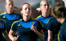 EURO 2013 - GROUPE A - La SUEDE favorite à domicile