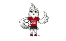 Coupe du Monde 2015 - Une chouette harfang comme mascotte ! Coupe du Monde 2015 - Une chouette harfang comme mascotte !
