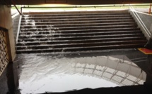 Tournoi International de Brasilia - ETATS-UNIS - ARGENTINE et BRESIL - CHINE reportés Tournoi International de Brasilia - ETATS-UNIS - ARGENTINE et BRESIL - CHINE reportés