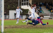 D1 - Réactions des coachs D1 - Réactions des coachs