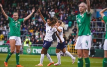 Bleues - IRLANDE - FRANCE : voyants au vert à DUBLIN