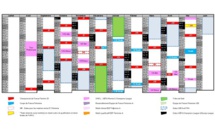 2015-2016 - Le calendrier général de D1 et Coupe de France féminine validé