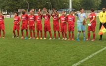 D1 - Quel avenir pour les promus ? Dans deux cas sur trois la relégation... D1 - Quel avenir pour les promus ? Dans deux cas sur trois la relégation...