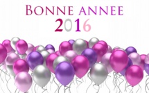 Bonne année 2016 !