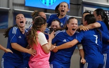 Coupe Nationale Futsal - DIAMANT FUTSAL et le FC VESOUL en finale