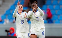 Bleues - Un sans-faute avant de passer à l'Euro