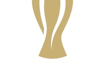 Coupe LFFP - Logo et déroulement, la communication officielle