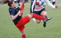 17e journée : La Roche et Saint-Brieuc respirent 17e journée : La Roche et Saint-Brieuc respirent