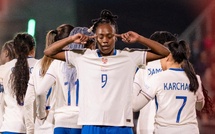 Bleues - MALARD libère la FRANCE mal embarquée